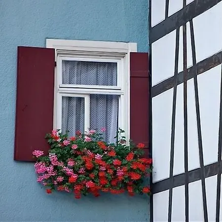 Landgasthof Ochsen Hotel