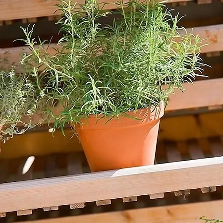 Landgasthof Ochsen Hotel