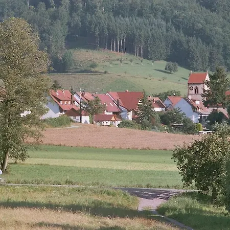 Landgasthof Ochsen Hotel Seelbach (Baden-Wurttemberg)